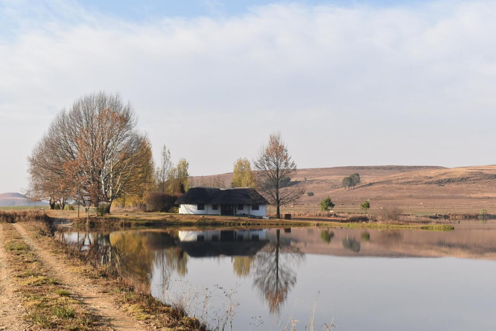 Dieu Donne Cottage Underberg Exterior photo